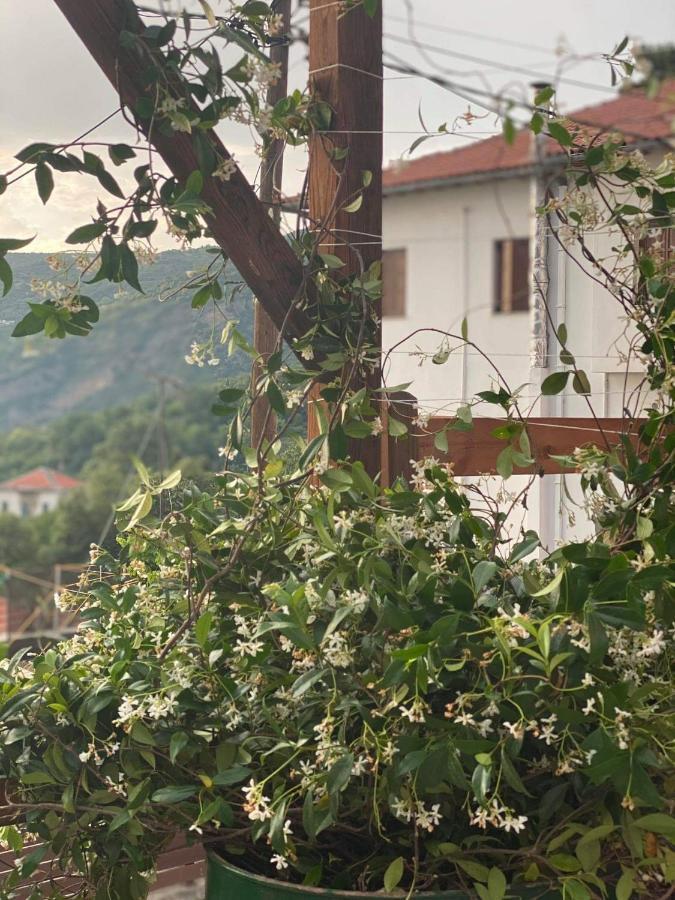 Karavos Hotel Portariá Exteriér fotografie